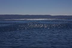771-Lago Titicaca,13 luglio 2013